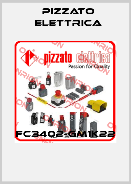 FC3402-GM1K22  Pizzato Elettrica