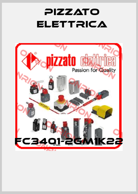 FC3401-2GM1K22  Pizzato Elettrica