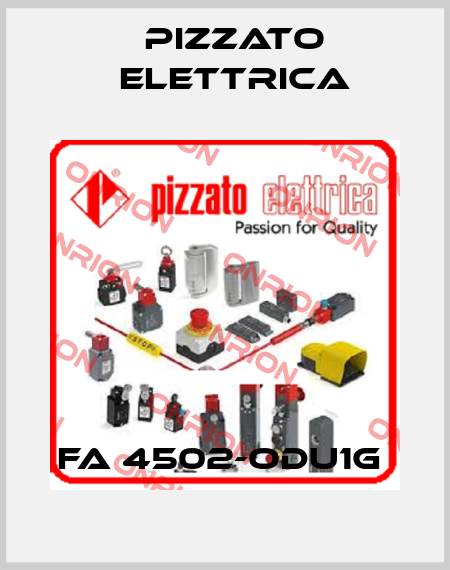 FA 4502-ODU1G  Pizzato Elettrica