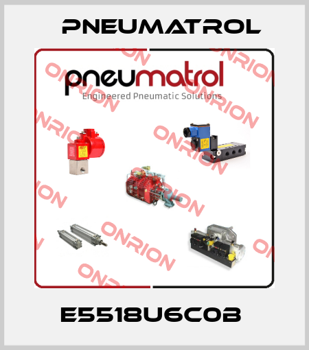 E5518U6C0B  Pneumatrol