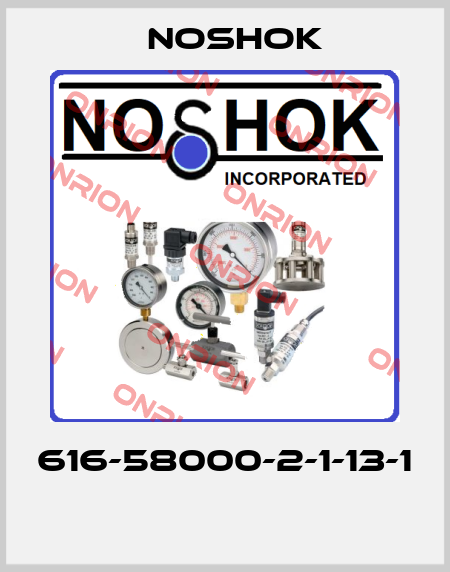 616-58000-2-1-13-1  Noshok