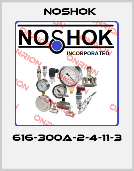 616-300A-2-4-11-3  Noshok