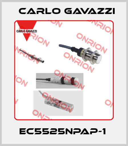 EC5525NPAP-1  Carlo Gavazzi