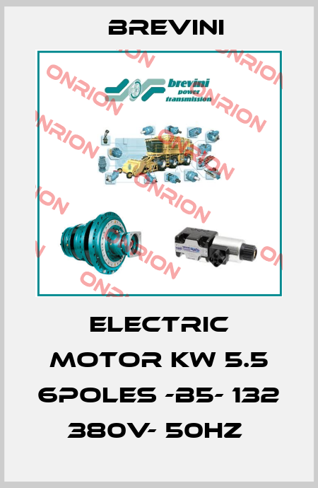 ELECTRIC MOTOR KW 5.5 6POLES -B5- 132 380V- 50HZ  Brevini