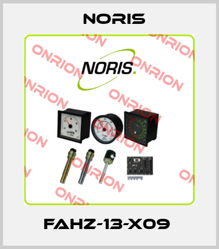 FAHZ-13-X09  Noris