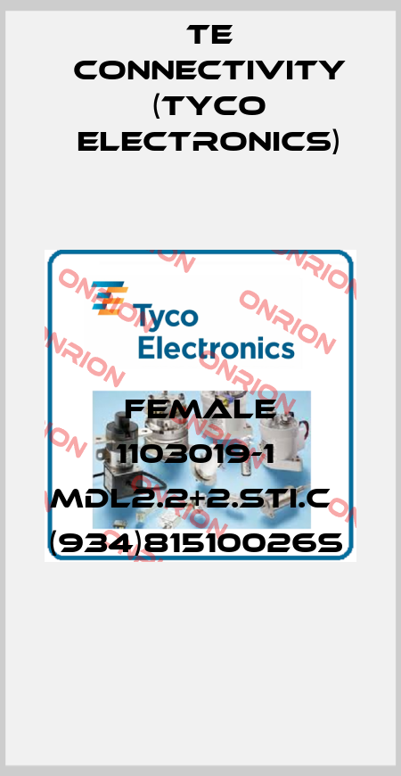 FEMALE 1103019-1  MDL2.2+2.STI.C   (934)81510026S  TE Connectivity (Tyco Electronics)
