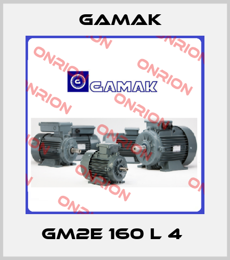 GM2E 160 L 4  Gamak