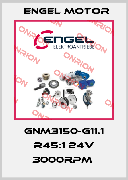 GNM3150-G11.1 R45:1 24V 3000RPM  Engel Motor