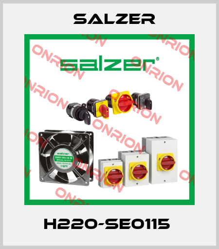 H220-SE0115  Salzer