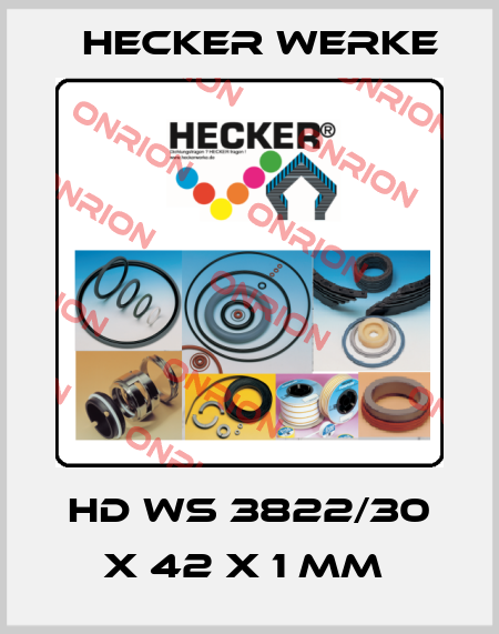 HD WS 3822/30 X 42 X 1 MM  Hecker Werke