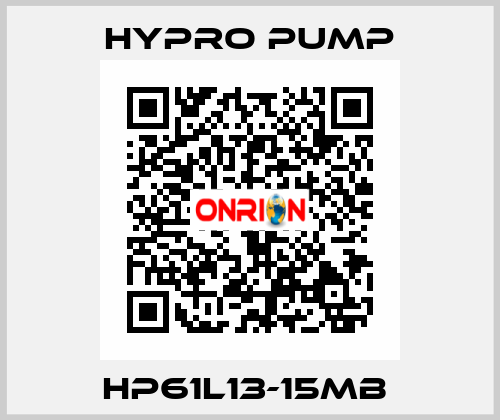 HP61L13-15MB  Hypro Pump