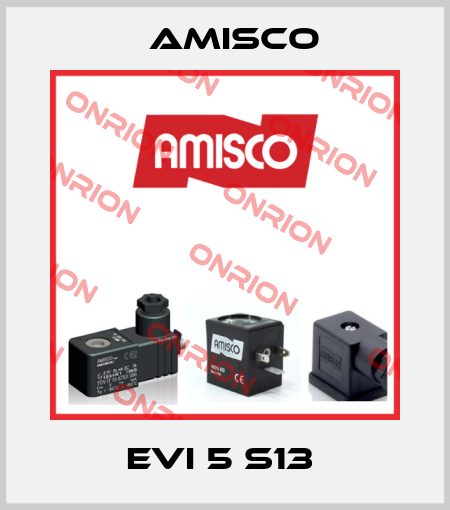 EVI 5 S13  Amisco
