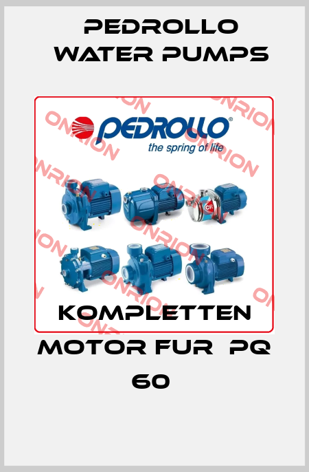KOMPLETTEN MOTOR FUR  PQ 60  Pedrollo Water Pumps