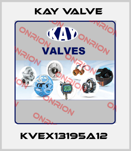 KVEX13195A12  Kay Valve
