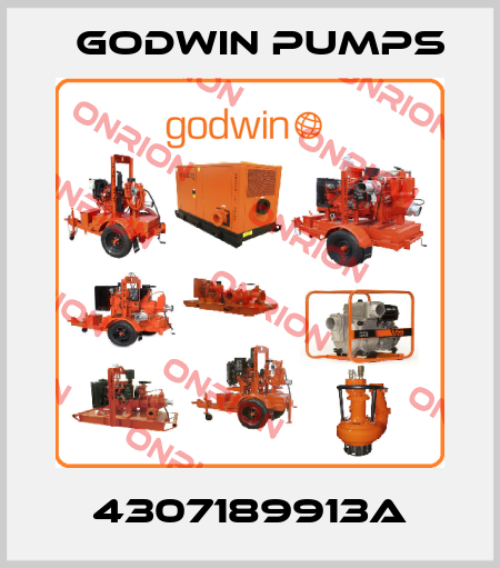 4307189913A Godwin Pumps