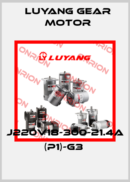 J220V18-300-21.4A (P1)-G3  Luyang Gear Motor