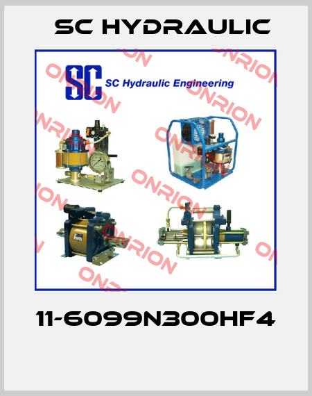 11-6099N300HF4  SC Hydraulic