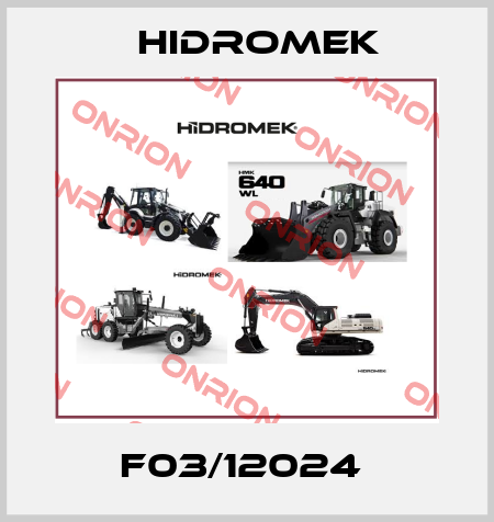 F03/12024  Hidromek