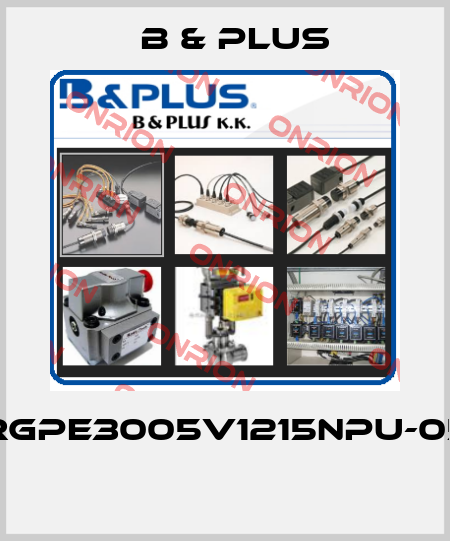 RGPE3005V1215NPU-05  B & PLUS