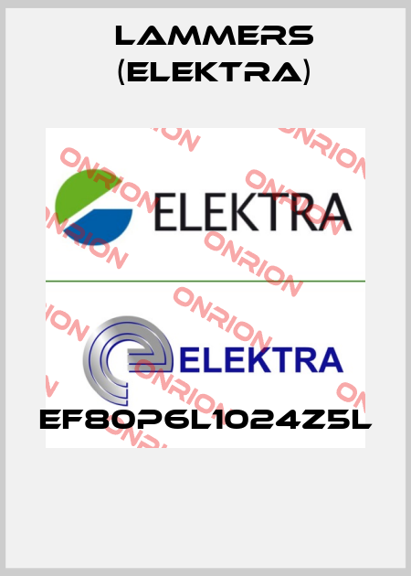 EF80P6L1024Z5L    Lammers (Elektra)