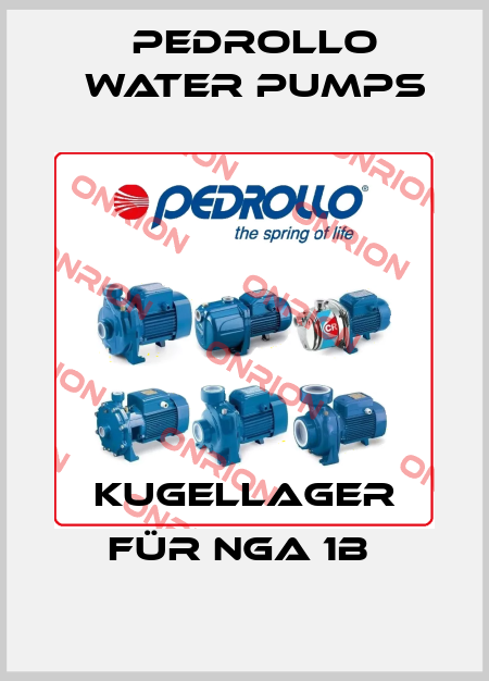 Kugellager für NGA 1B  Pedrollo Water Pumps