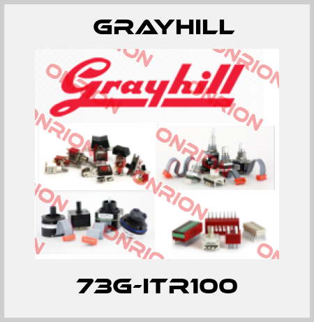 73G-ITR100 Grayhill