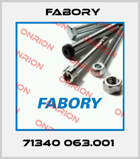 71340 063.001  Fabory