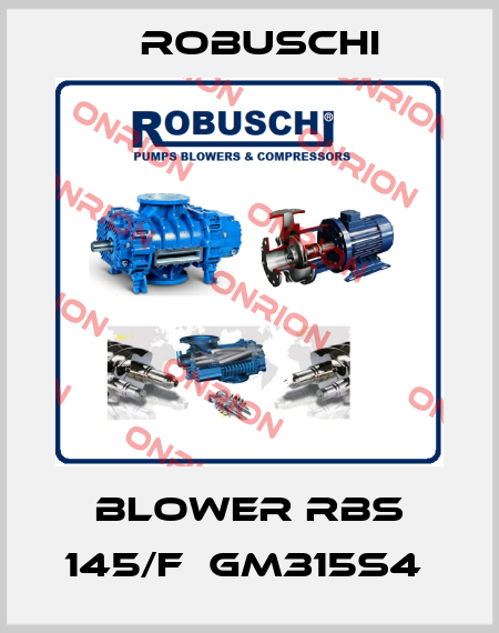 BLOWER RBS 145/F  GM315S4  Robuschi