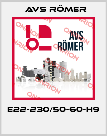E22-230/50-60-H9  Avs Römer