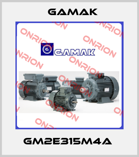 GM2E315M4a  Gamak