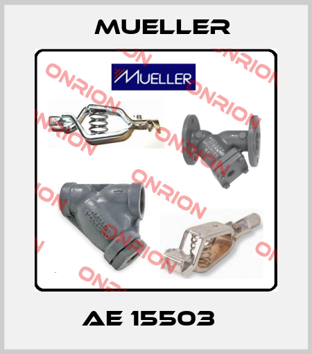 AE 15503   Mueller