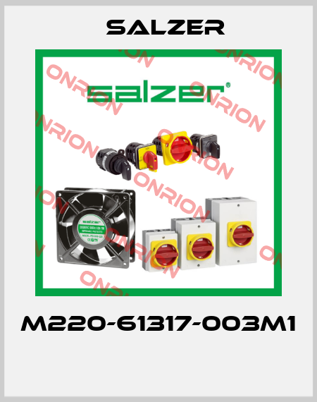 M220-61317-003M1  Salzer