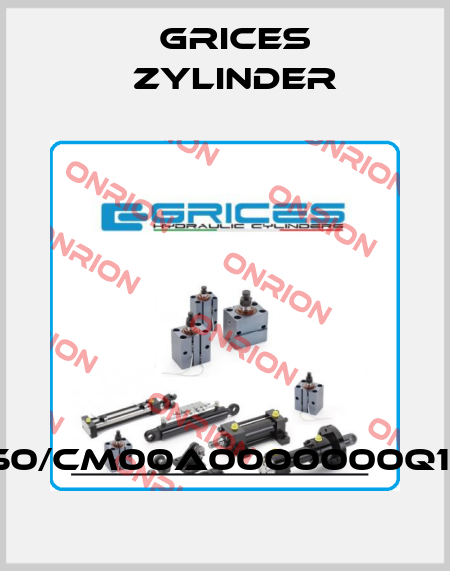 CH/80/36/0/750/CM00A0000000Q1000R1000/0/0 Grices Zylinder