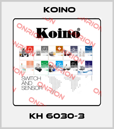 KH 6030-3 Koino
