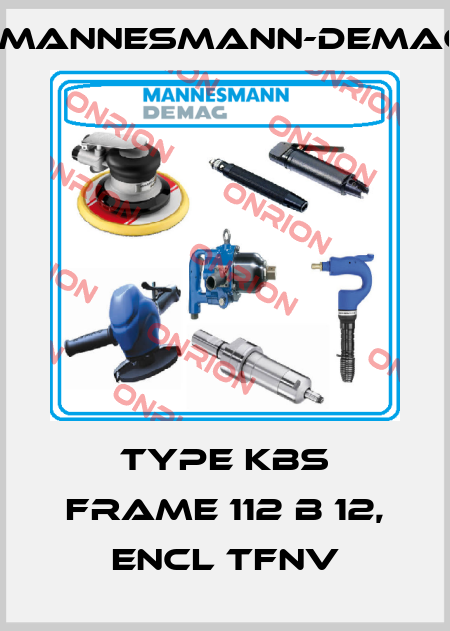 TYPE KBS FRAME 112 B 12, ENCL TFNV Mannesmann-Demag