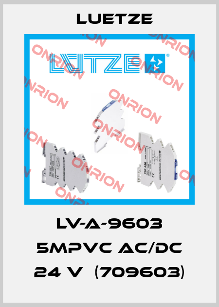 LV-A-9603 5mPVC AC/DC 24 V  (709603) Luetze