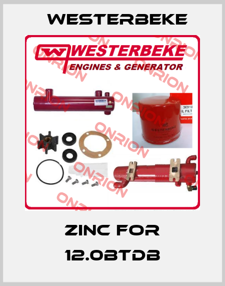 Zinc for 12.0BTDB Westerbeke