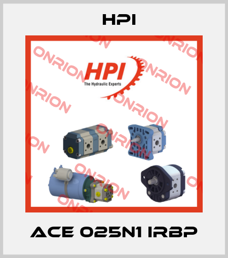 ACE 025N1 IRBP HPI