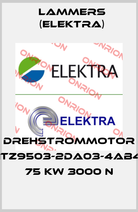 Drehstrommotor 1TZ9503-2DA03-4AB4 75 kW 3000 n Lammers (Elektra)
