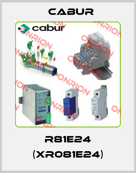 R81E24 (XR081E24) Cabur