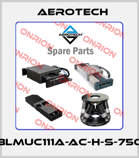 BLMUC111A-AC-H-S-750 Aerotech