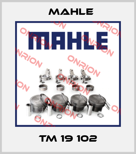 TM 19 102 MAHLE