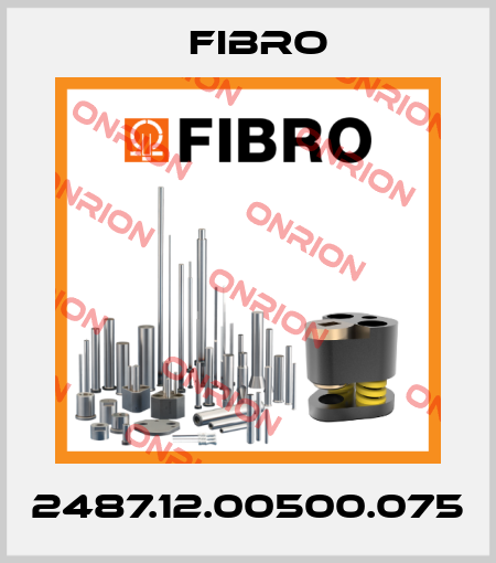 2487.12.00500.075 Fibro