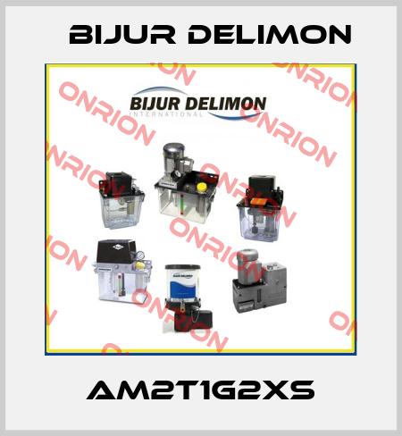 AM2T1G2XS Bijur Delimon