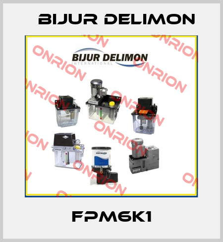 FPM6K1 Bijur Delimon