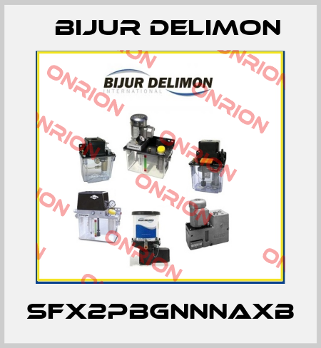 SFX2PBGNNNAXB Bijur Delimon