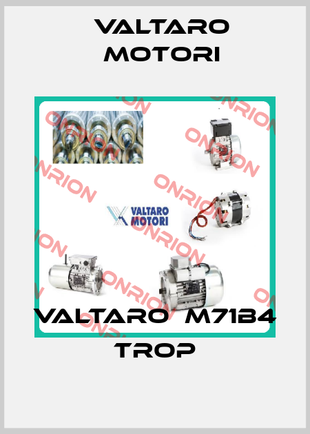 VALTARO　M71B4 TROP Valtaro Motori