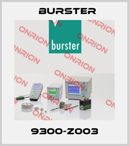 9300-Z003 Burster