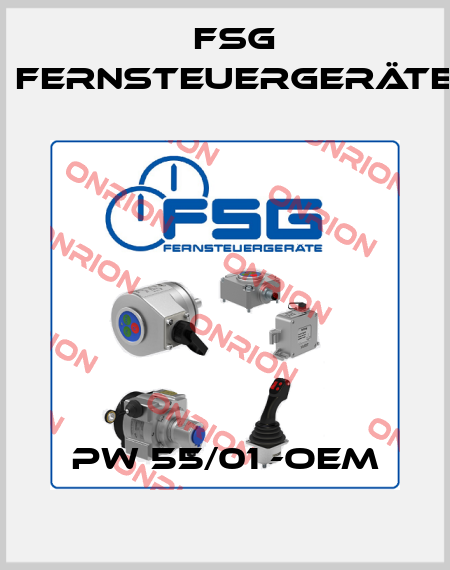 PW 55/01 -OEM FSG Fernsteuergeräte