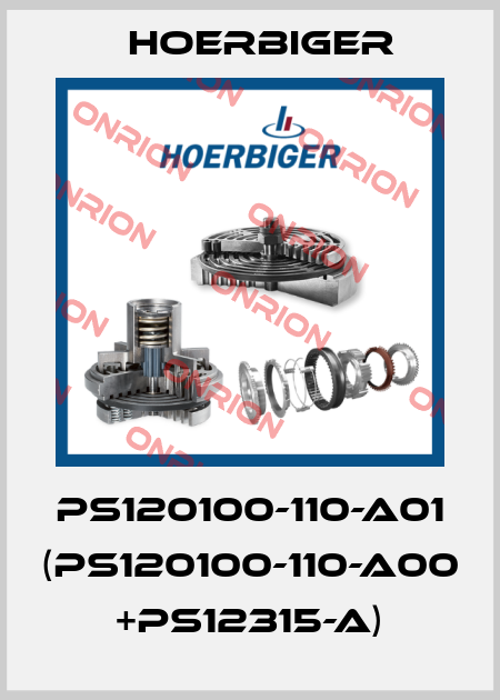 PS120100-110-A01 (PS120100-110-A00 +PS12315-A) Hoerbiger